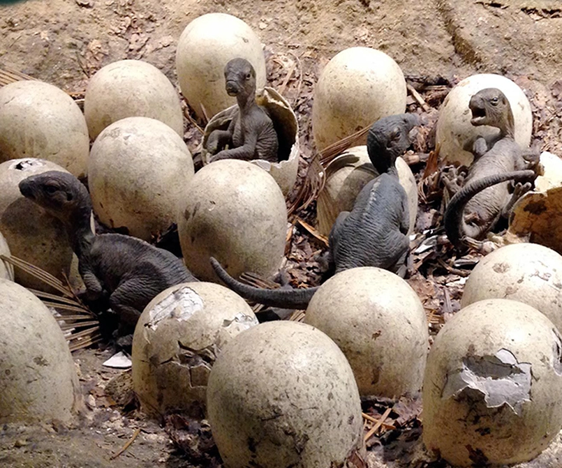 Jurassic Park Dino Eggs